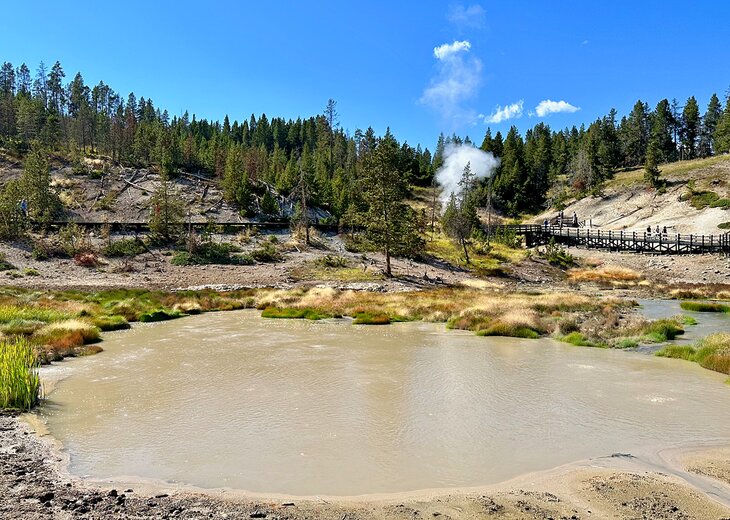 Mud Volcano area