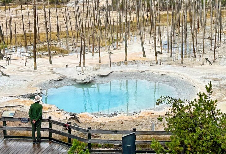 Cistern Spring, Norris Geyser Basin