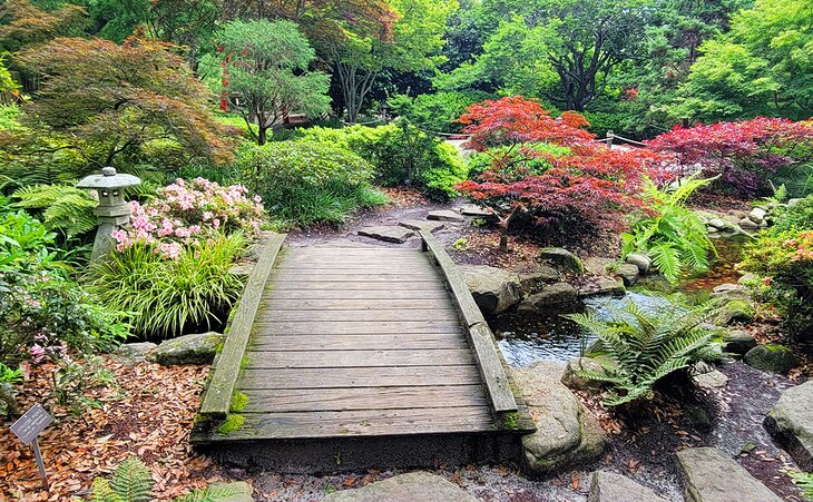 A walkway in the New Hanover Arboretum