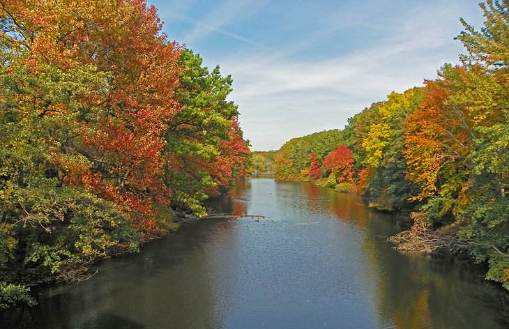 The Bronx River in the fall